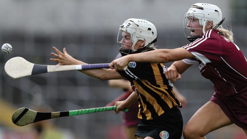 Kilkenny's Shelly Farrell and Galway's Shuana Healy are at full stretch during Sunday's All-Ireland senior camogie clash at Nowlan Park. Photos: INPHO/Tommy Dickson.