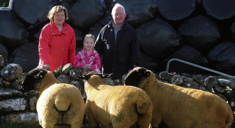 Padraic and Margaret Niland with their grandchild Eva (5) at their farm in Labane, pictured with some of their beautiful Suffolk flock . Photograph: Hany Marzouk.