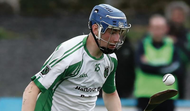 Sarsfields' Kevin Cooney who made an important scoring contribution in Saturday's senior hurling quarter-final win over Castlegar at Kenny Park.