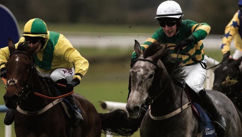 Galway jockey Liam Gilligan and Demi Pile (on right) landing the Book Winter Festival Handicap Hurdle at Fairyhouse.