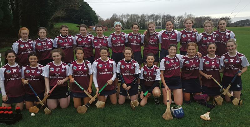 The NUI Galway camogie side which won their Purcell Cup game against IT Carlow. Back row, from left: Aine Cleary, Oonagh Gleeson, Laoise McDonnell, Lauren Gilligan, Mary Larkin, Emma Helebert, Niamh Horan, Niamh Treacy, Molly Mannion, Grace Teehan, Alisha Lenihan, and Carrie Dolan. Front: Eabha O’Rourke, Ailish Carr, Muireann O’Reilly, Niamh Black, Ciana Reidy, Rachel Hanniffy, Aoife Donohue, Orlaith Murray, Rebecca Nolan, Rachel Fitzmaurice, and Eileen Cullen.