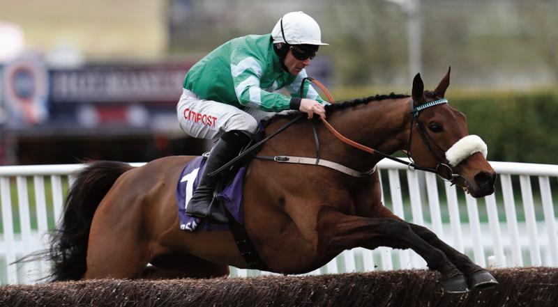 Presenting Percy and Davy Russell on their way to winning the RSA Novices Chase at the 2018 Cheltenham festival. Pat Kelly's stable star has the biggest National Hunt prize of all in his sights next week.