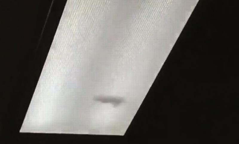 A screengrab from the viral video of a rodent in a light fitting in the hospital's Emergency Department.