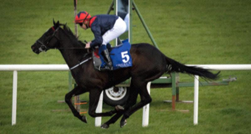 Geneticist and Galway jockey Leigh Roche win the Irish Stallion Farms EBF Maiden in Limerick on Saturday.